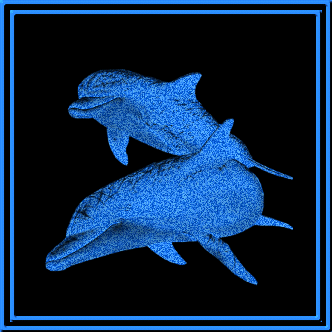les dauphins